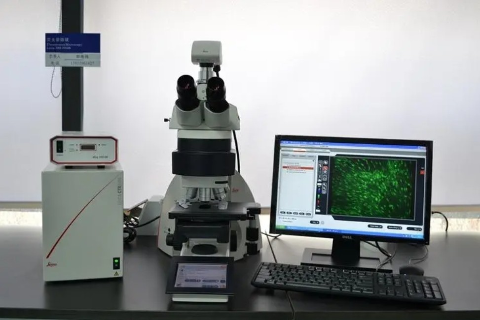 濾光片是如何決定顯微鏡成像性能的？